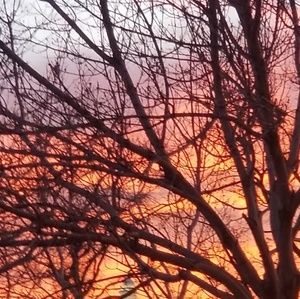 Meet your Posher, Emmy